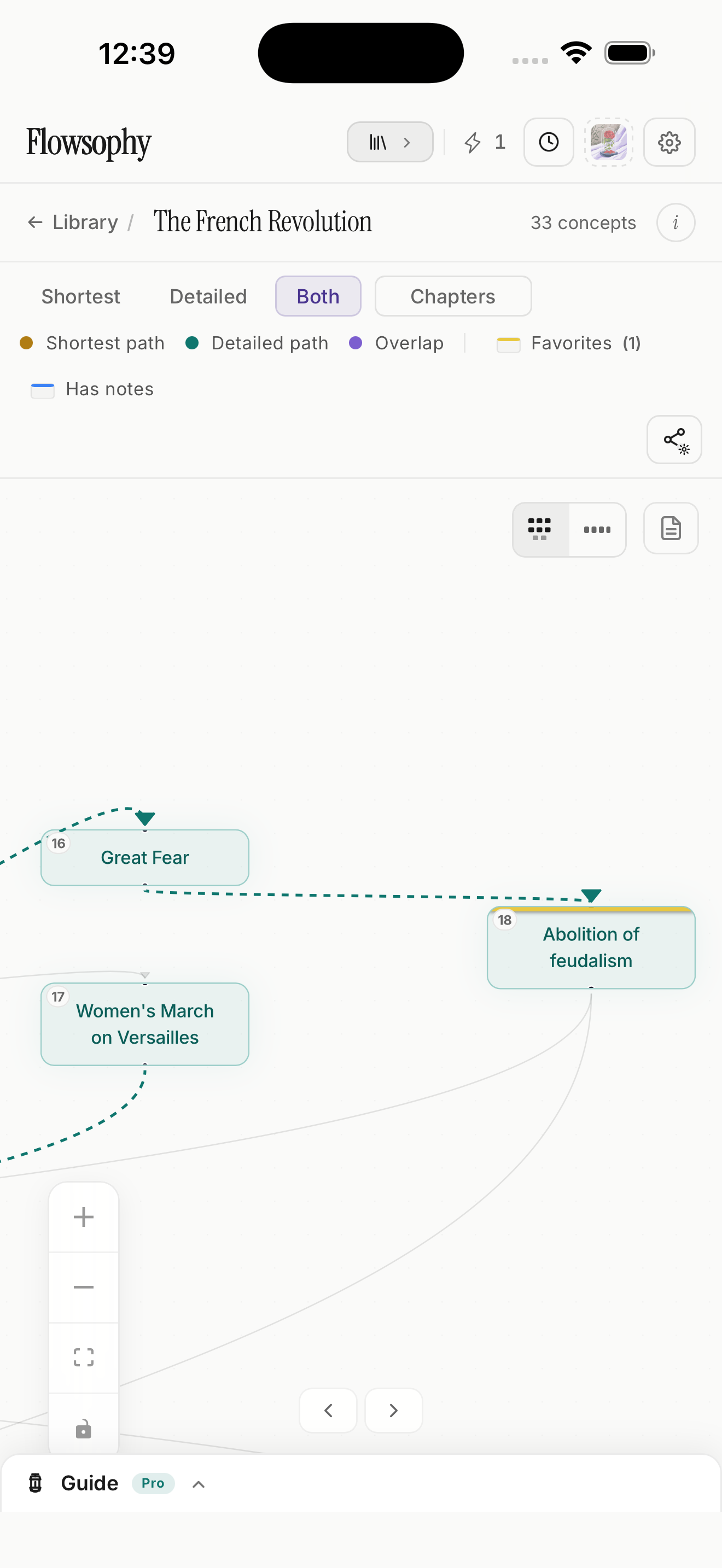 Two concepts of the same Flowmap, close up on iPhone